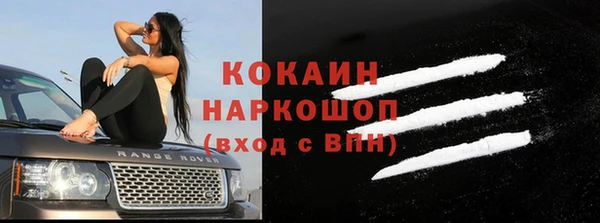 дживик Осинники