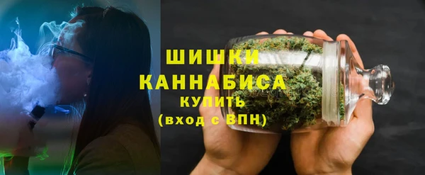 дживик Осинники