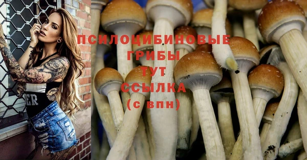 дживик Осинники