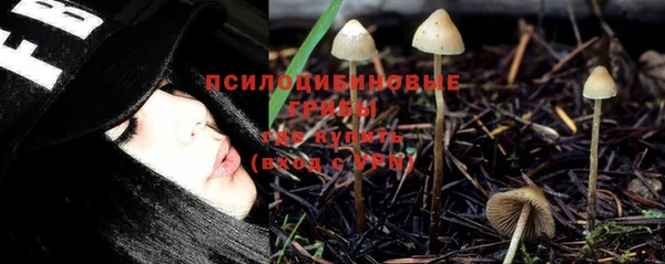 дживик Осинники