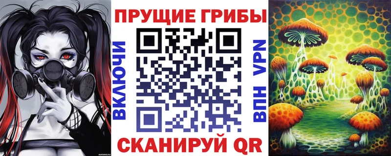 купить цена ссылка на мегу рабочий сайт Псилоцибиновые грибы прущие грибы Камешково