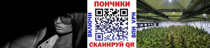 hydra рабочий сайт  Камешково  Конопля индика 